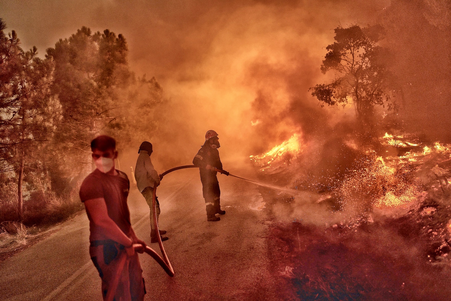firefighters put out wildfires in greece