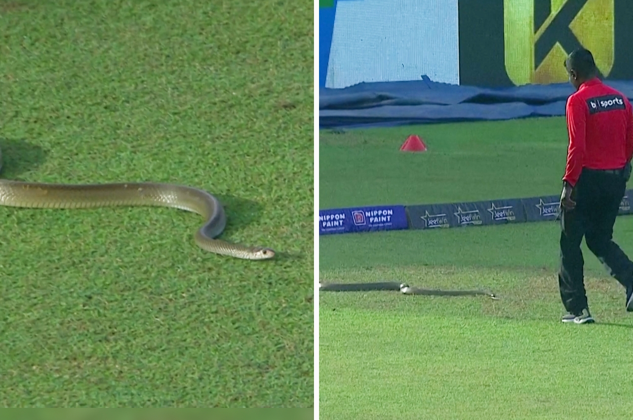 A Giant Snake Crashed A Cricket Match In Sri Lanka And Completely Stole The Show