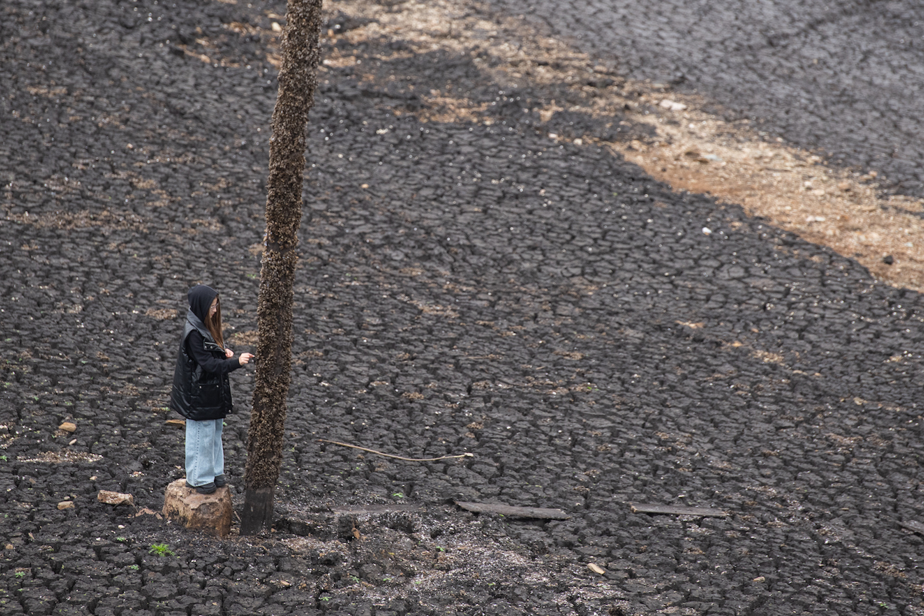 11 Places Around The World That Are In A Drought Right Now