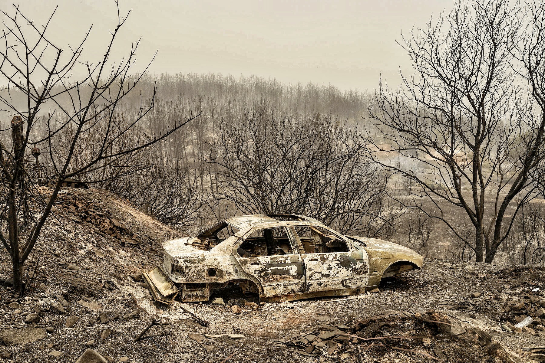 wildfires in greece burned cars