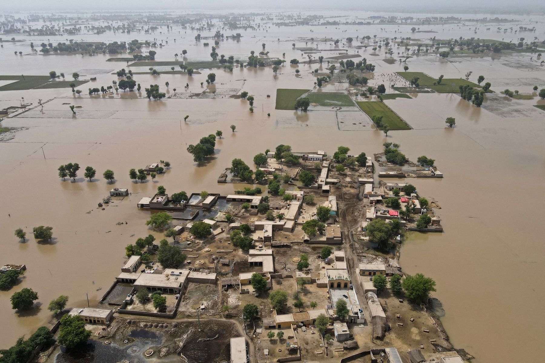 Pakistan floods august 2023