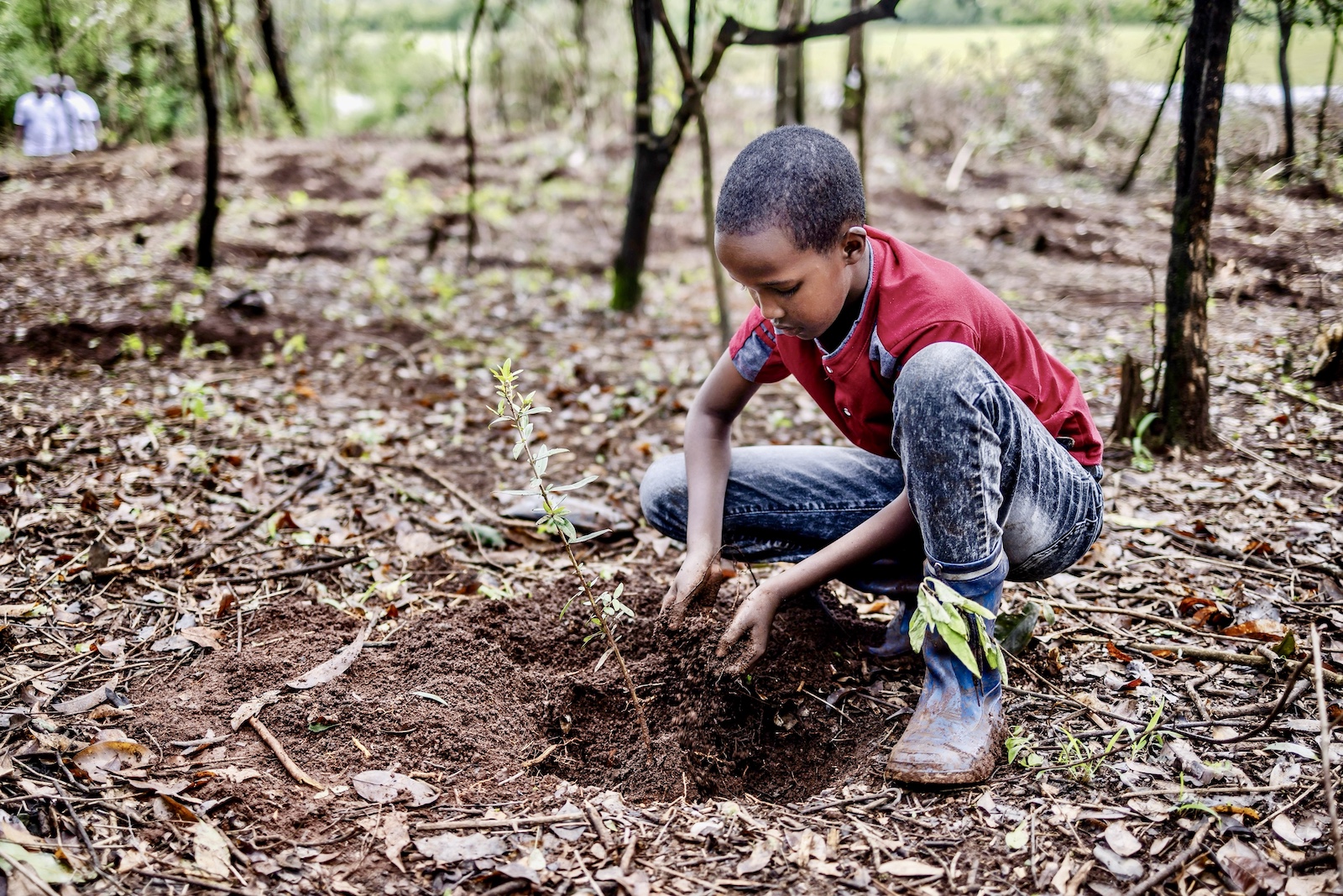 Isaac Molu tree planting public holiday kenya