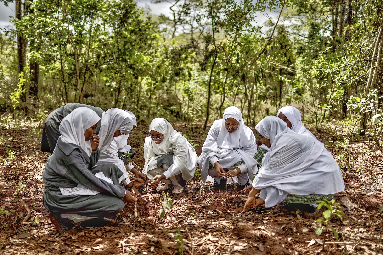 Muslim girls plant tree seedlings tree planting public holiday in Nairobi