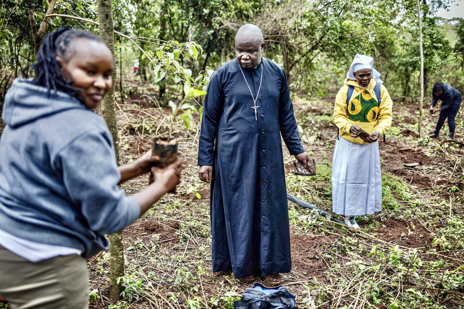 nationwide tree kenya priests planting public holiday in Nairobi