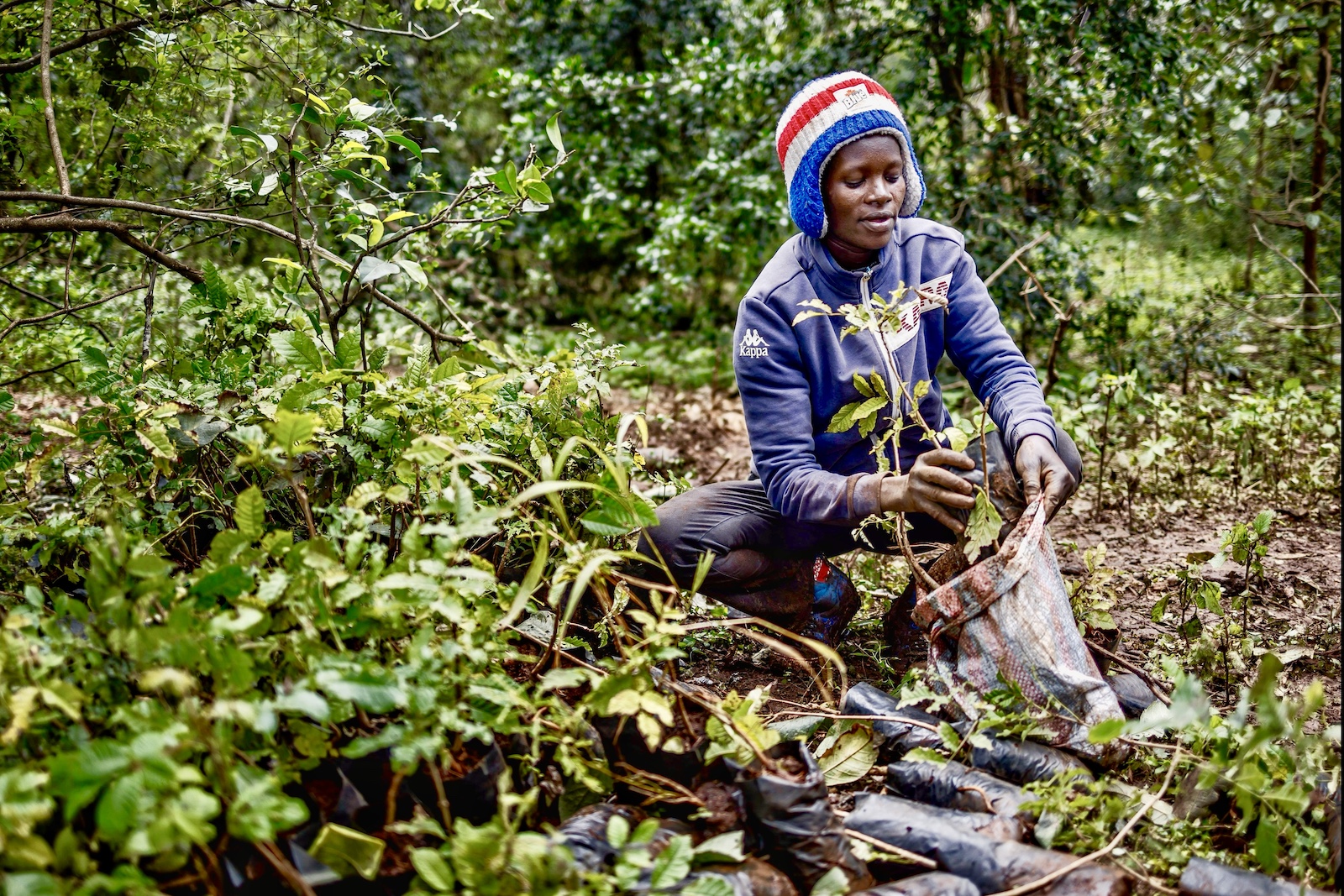 Kenya Has Created A Public Holiday For People To Plant 100 Million Trees To Fight Climate Change