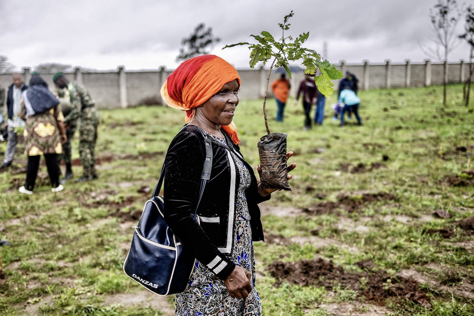 woman holds tree seedings tree planting public holiday in Nairobi