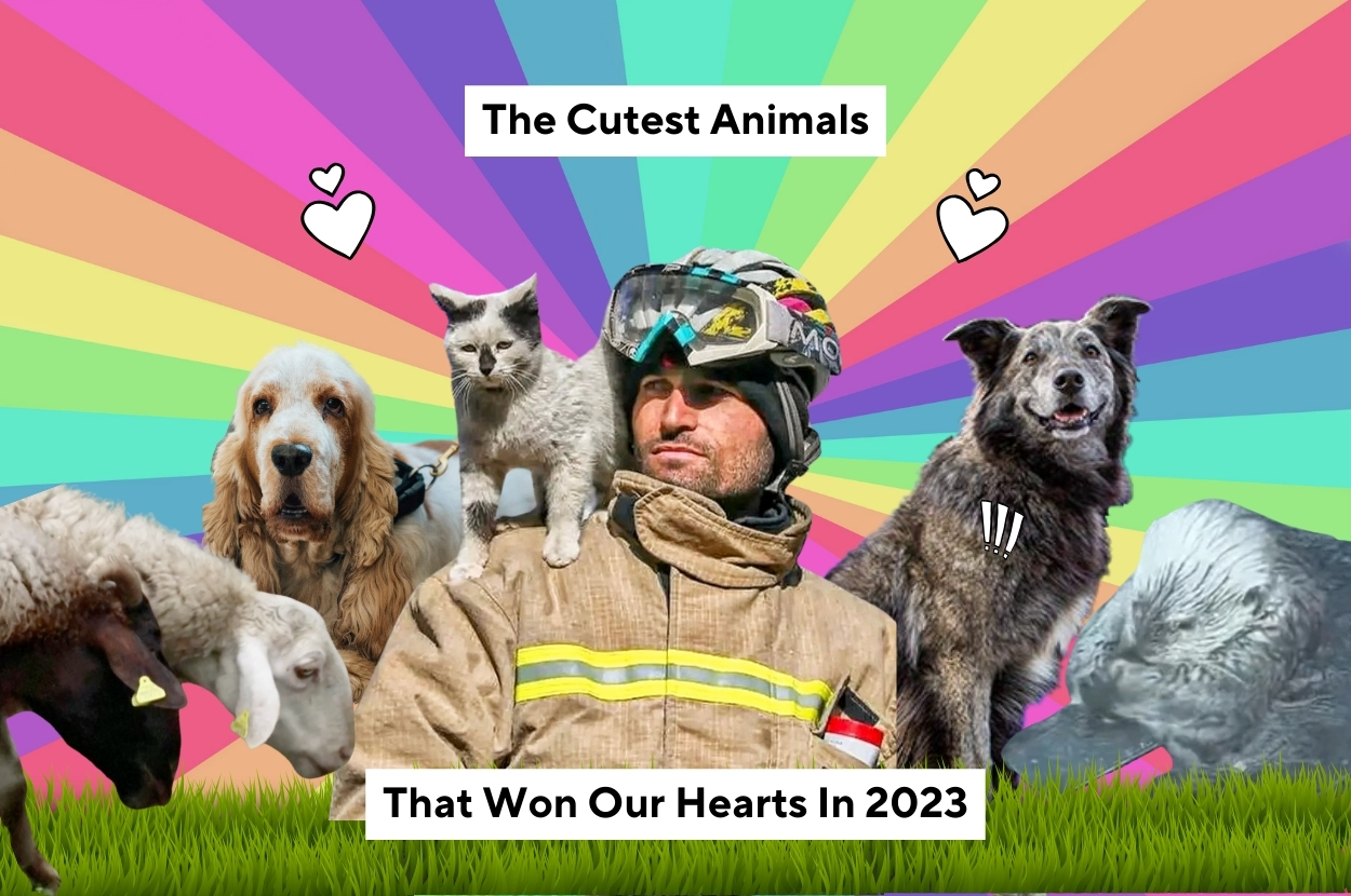 10 Of The Cutest Animals That Won Our Hearts In 2023