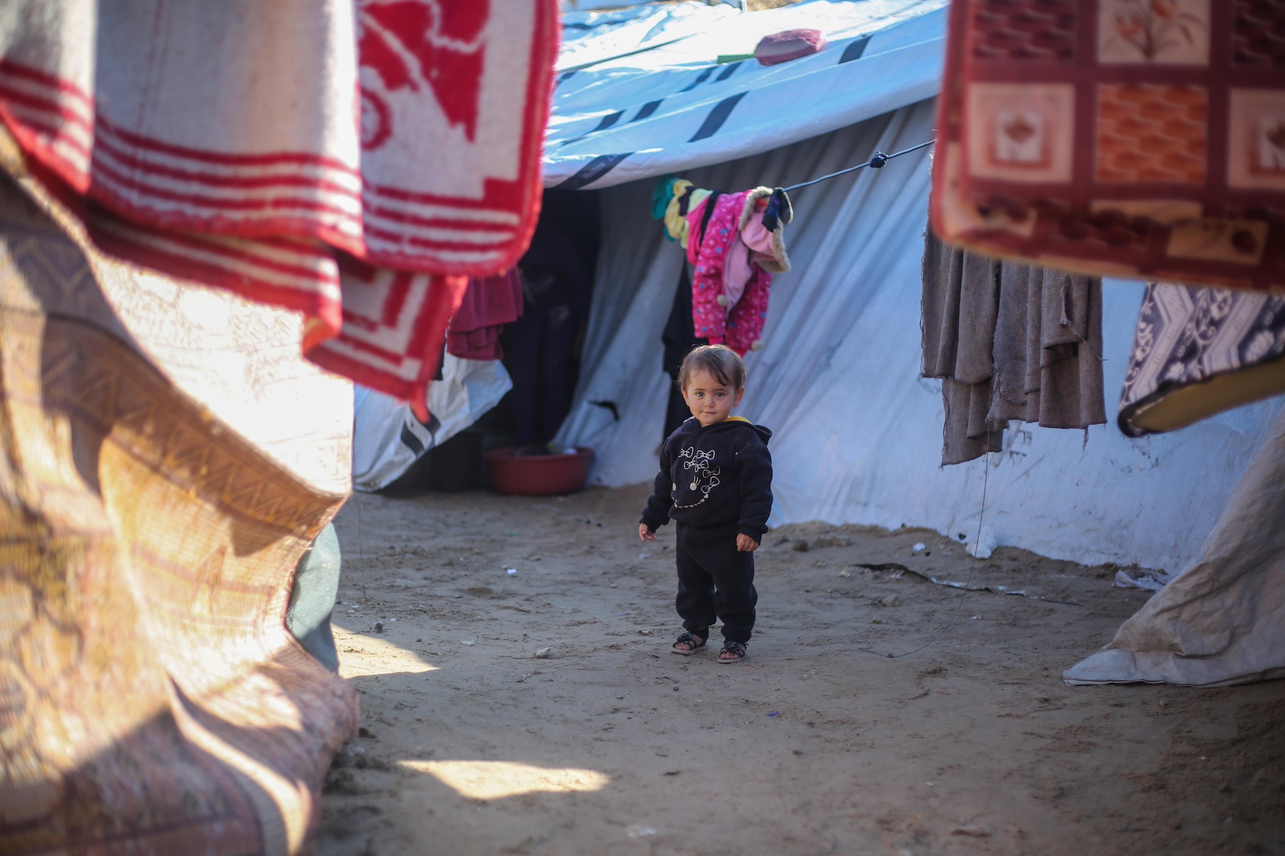 Displaced Palestinians live tents rafah gaza
